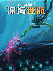 株洲夜市的衣服便宜吗